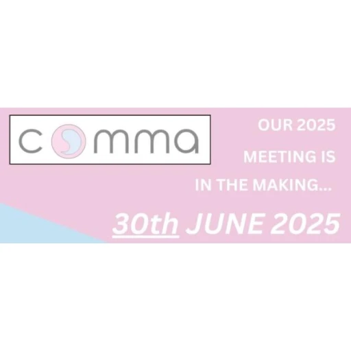 test_COMMA 2025