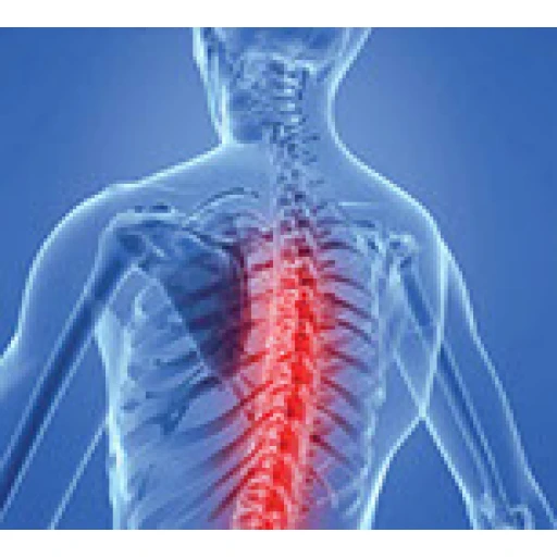 18th Hands-on Interventional Pain Management Workshop, Nottingham, UK 29-30 October 2026